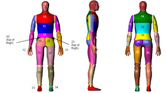 NEWTON暖体假人在纺织科学技术研究中的应用与价值